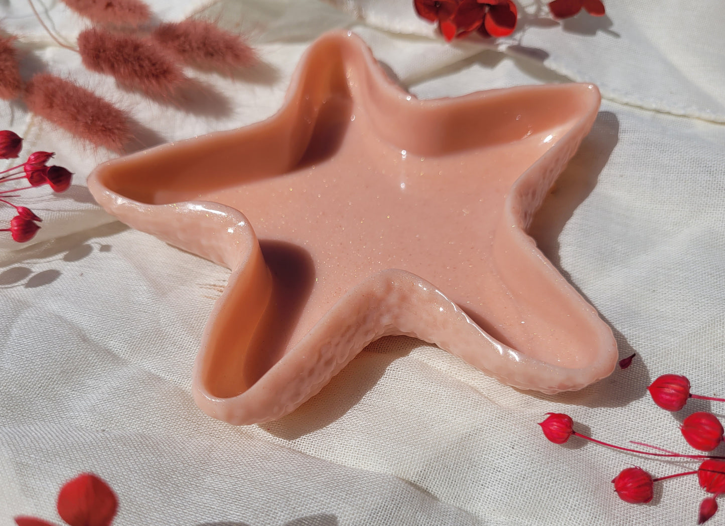 Le vide poche Sirius